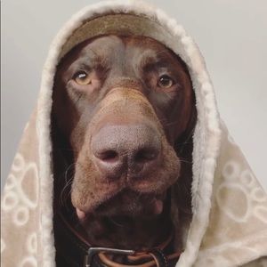 Meet your Posher, Glenys